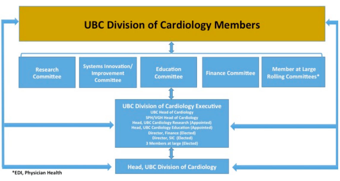 Organizational-Structure